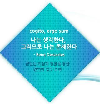 나는 생각한다, 그러므로 나는 존재한다 - 데카르트 - 끝없는 의심과 통찰을 통한 완벽한 업무 수행